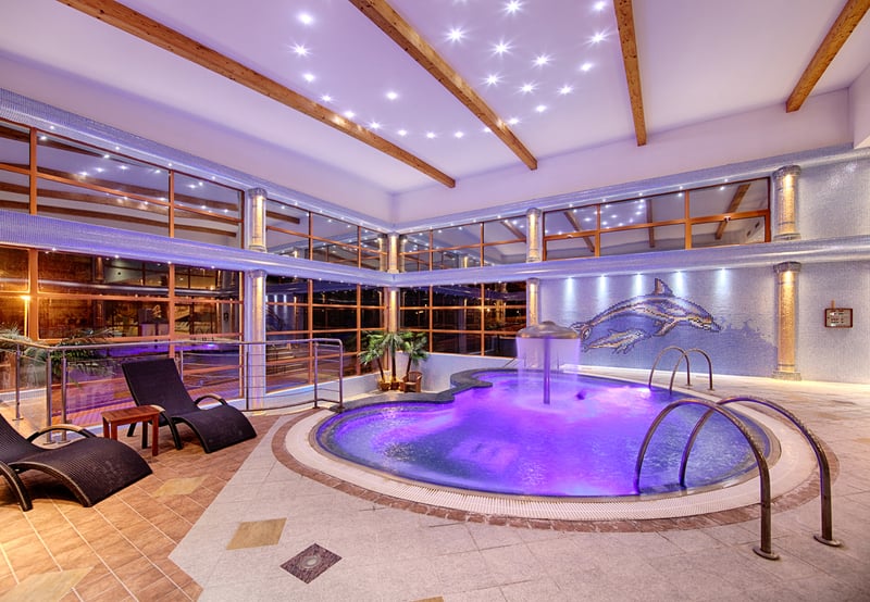 Hotelový bazén s veľkou maľbou delfína na stene wellness centra.